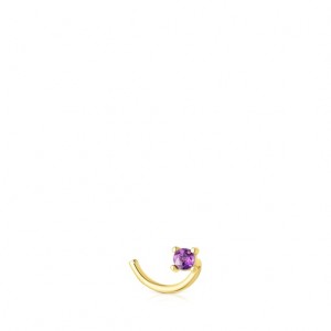 Tous Steel St Tropez Steel Nose With Amethyst Ohrringe Gold | Österreich-XVRKJU254