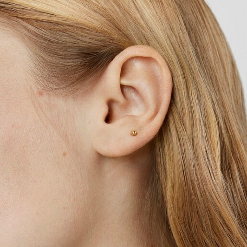 Tous Ball Ear Les Classiques Ohrringe Gold | Österreich-JLMGKI601