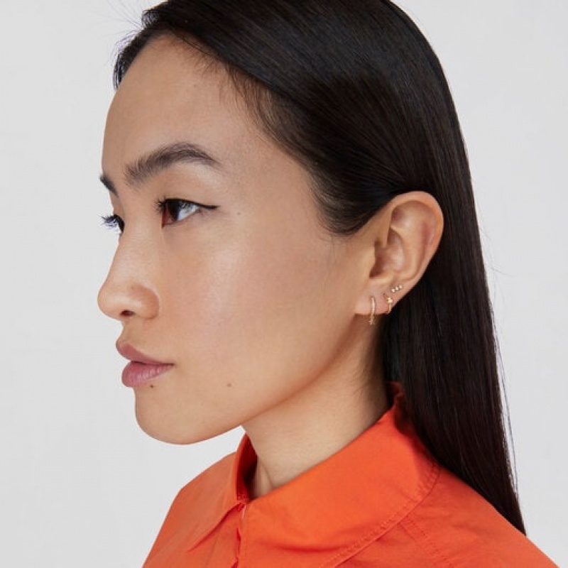Tous Basics Bear Ear Ohrringe Gold | Österreich-AVHWJT180