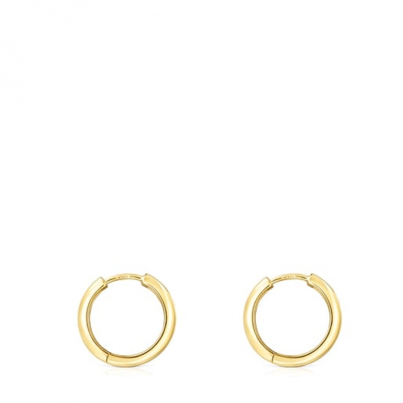 Tous Basics Ohrringe Gold | Österreich-XQEABY598