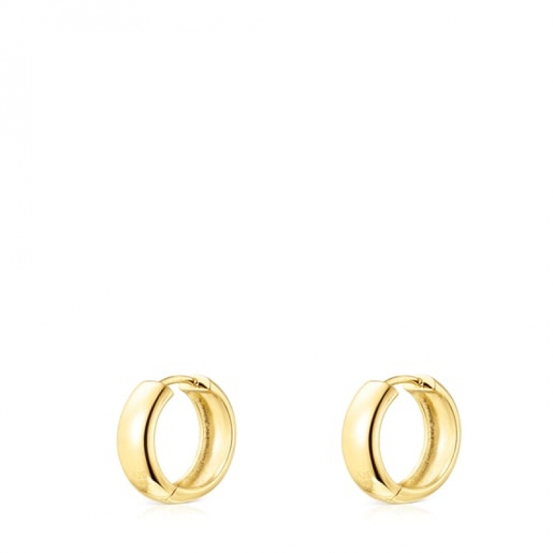 Tous Basics Ohrringe Gold | Österreich-XQEABY598