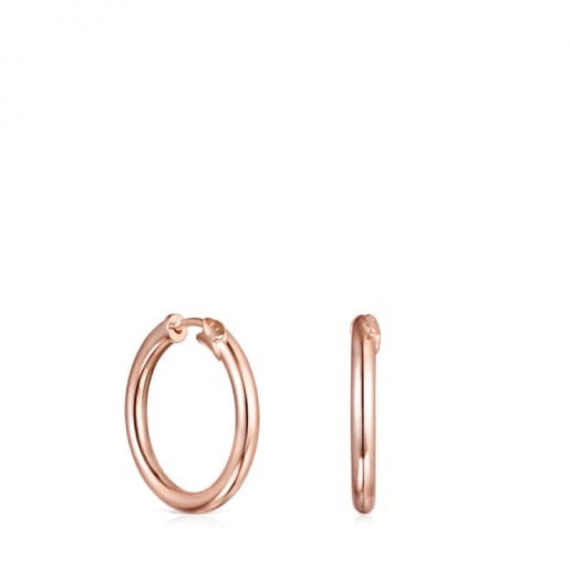Tous Basics Small Ohrringe Rosa Gold | Österreich-GSFBQA819