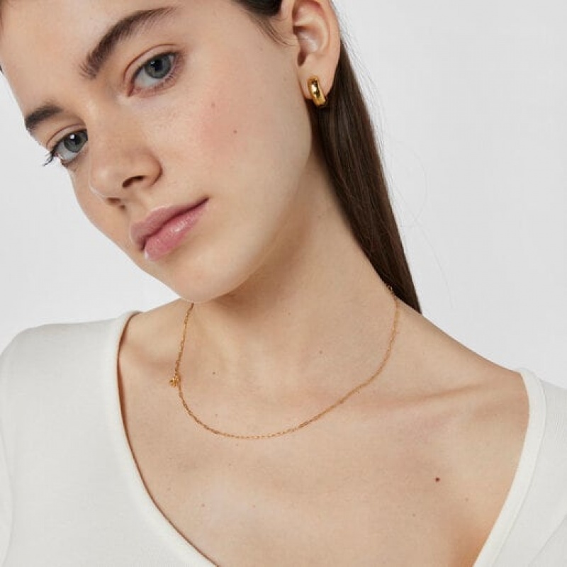 Tous Bold Bear With Oval Rings Halskette Gold | Österreich-ERDCYH487