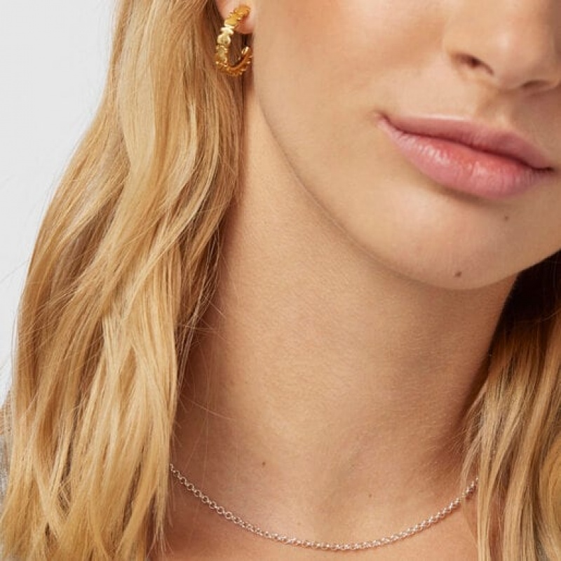 Tous Choker 40cm Kettenriemen Silber | Österreich-XVENAJ920