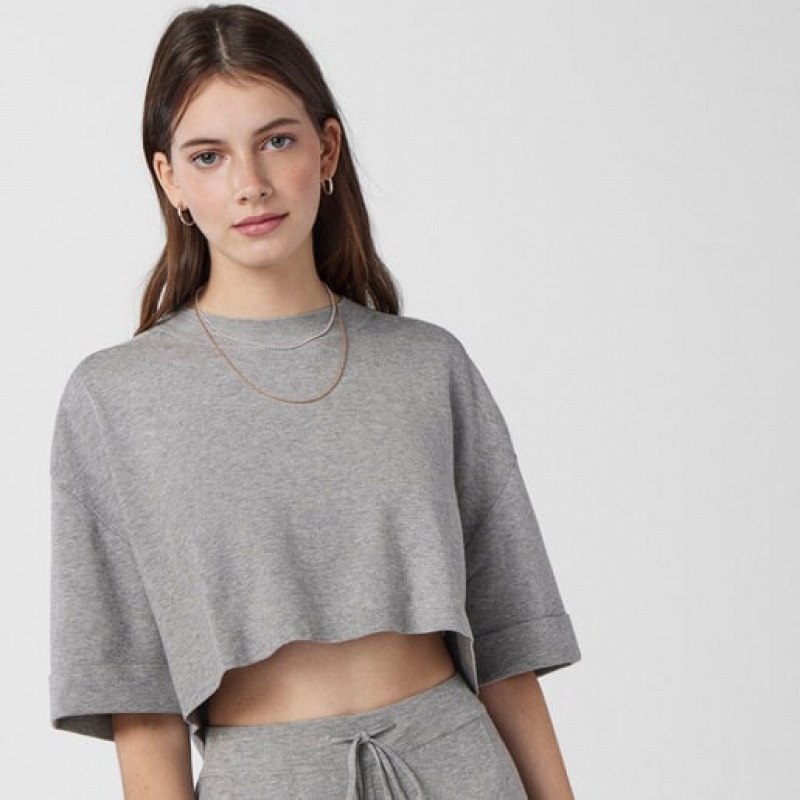 Tous Choker 50cm Kettenriemen Gold | Österreich-GLWHCQ758