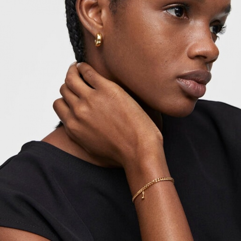 Tous Curb Chain With Bold Bear Armband Gold | Österreich-NKYHFR518
