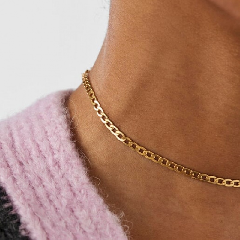 Tous Curbed Choker Kettenriemen Gold | Österreich-OCFDPQ604