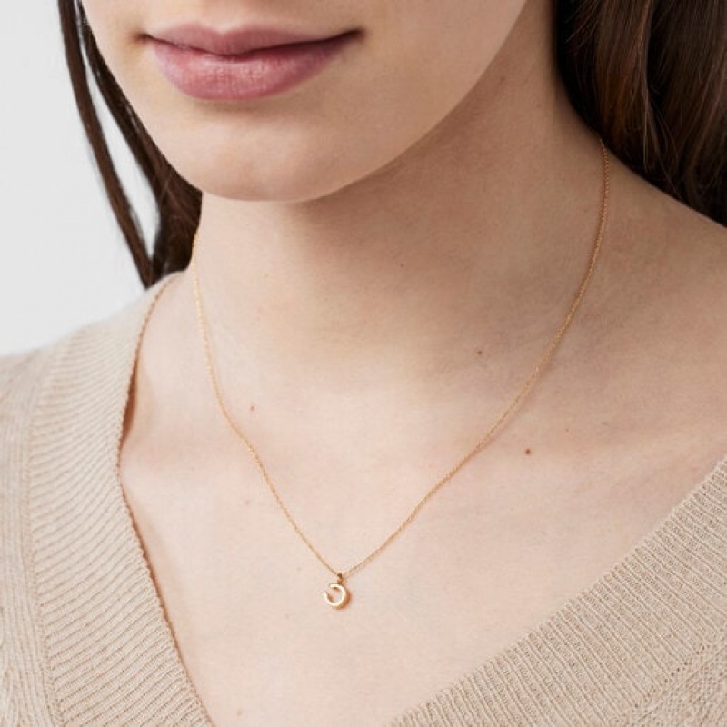 Tous Good Vibes Horseshoe Halskette Gold | Österreich-XSWZRP825