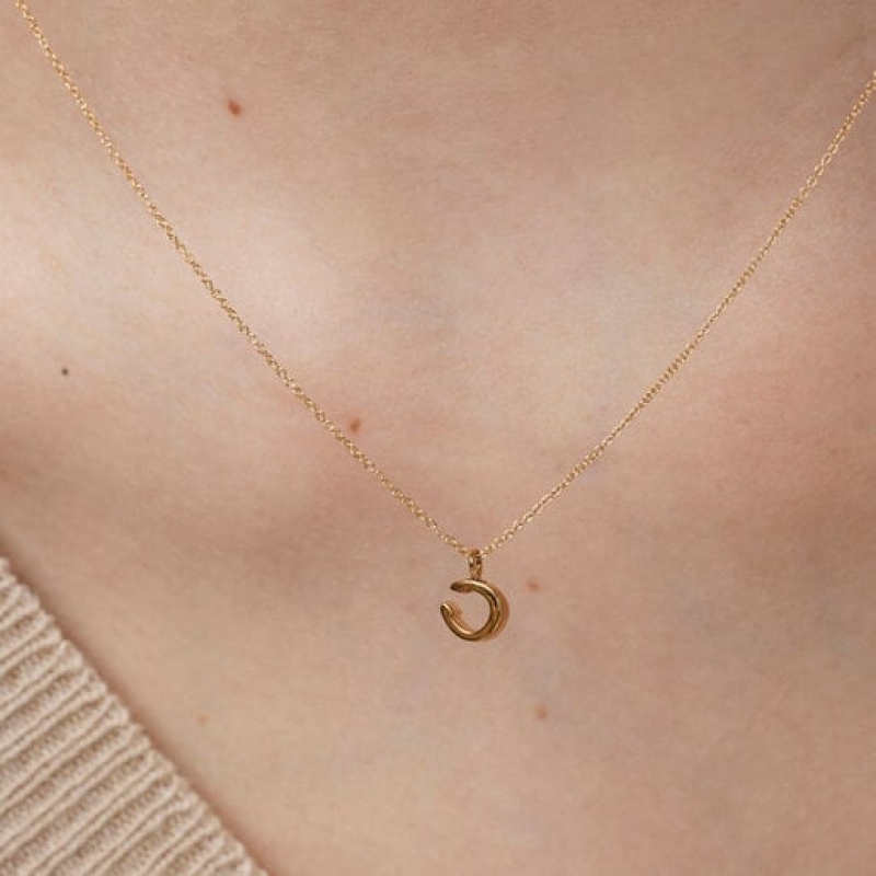 Tous Good Vibes Horseshoe Halskette Gold | Österreich-XSWZRP825