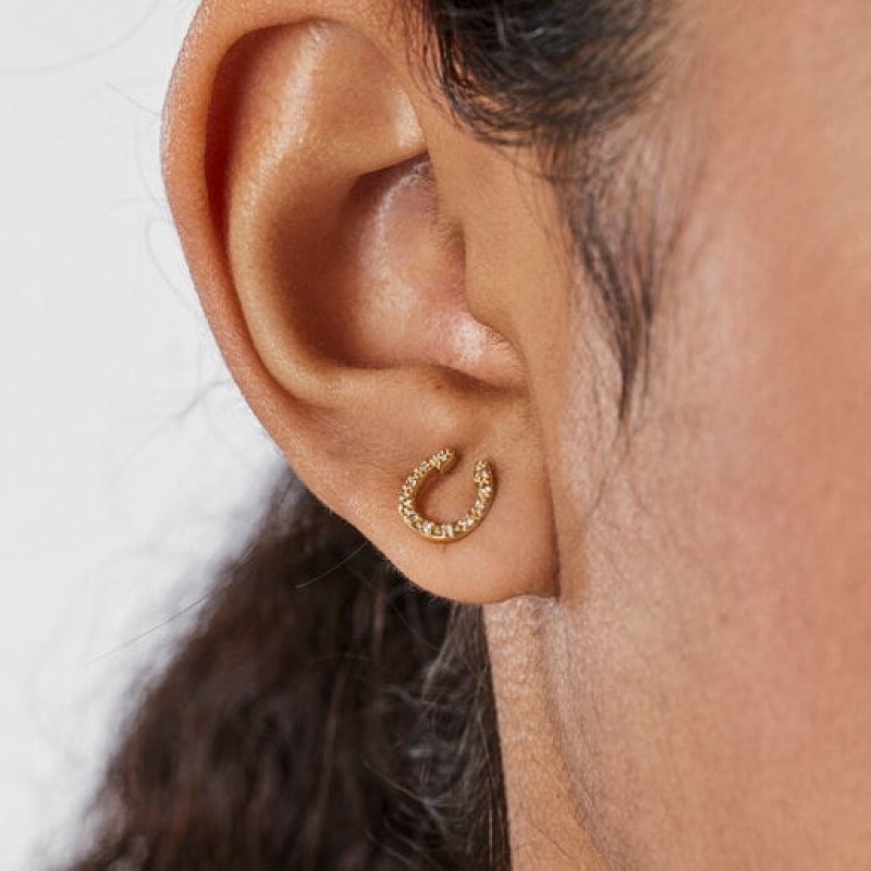 Tous Good Vibes Horseshoe With Diamonds Ohrringe Gold | Österreich-ZRIMXD827