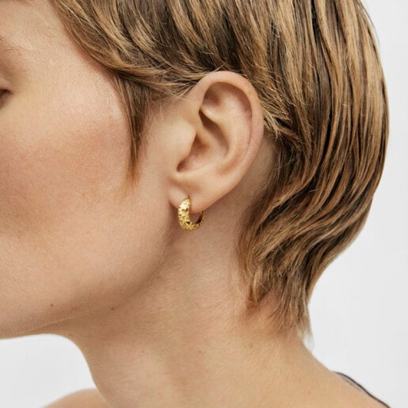 Tous Hoop With Dybe Ohrringe Gold | Österreich-UNLEBD358