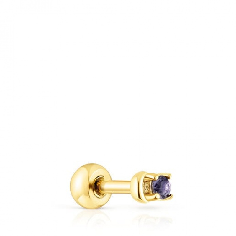 Tous Ip steel Iolite New motif Moon Ohrringe Gold | Österreich-DZNGLI508