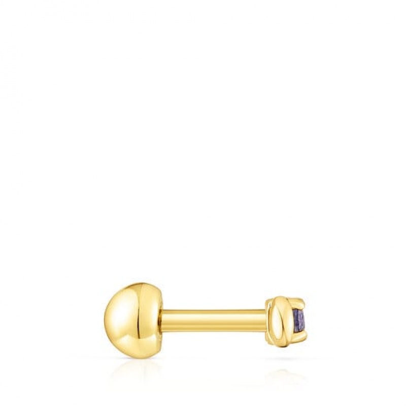 Tous Ip steel Iolite New motif Moon Ohrringe Gold | Österreich-DZNGLI508