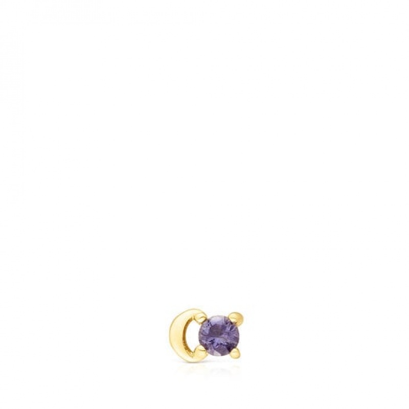Tous Ip steel Iolite New motif Moon Ohrringe Gold | Österreich-DZNGLI508