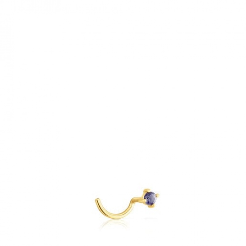 Tous Ip steel Iolite St tropez Nose Ohrringe Gold | Österreich-VYWIOZ391