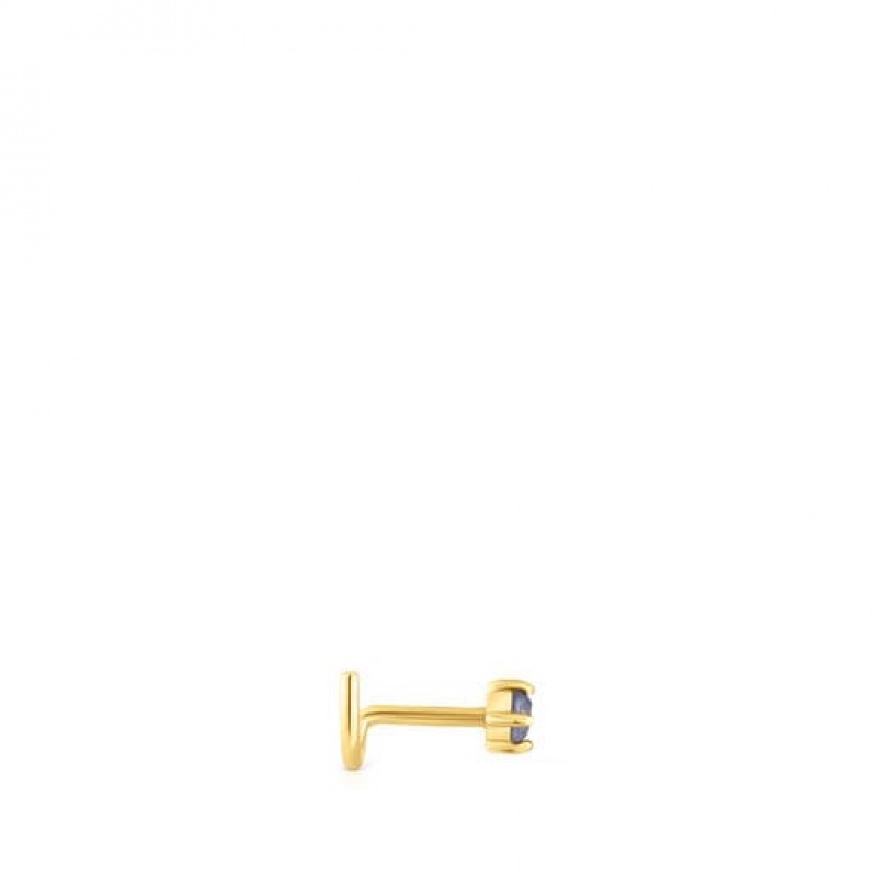 Tous Ip steel Iolite St tropez Nose Ohrringe Gold | Österreich-VYWIOZ391