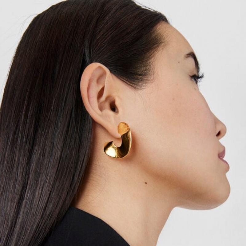 Tous Large Hoop Gregal Ohrringe Gold | Österreich-YHVSIA701