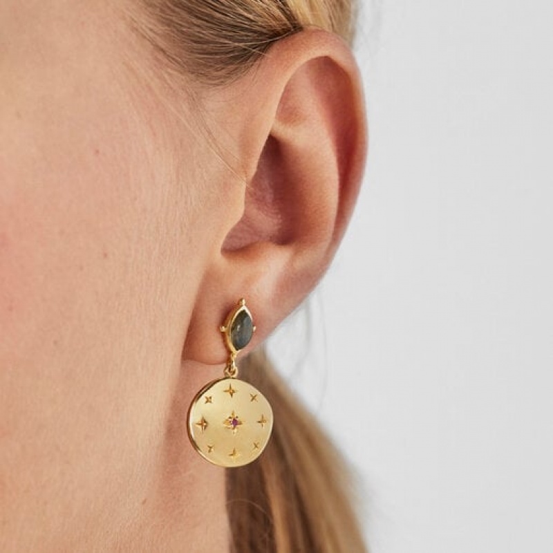 Tous Magic Nature Disc With Labradorite Ohrringe Gold | Österreich-KAGVLW982