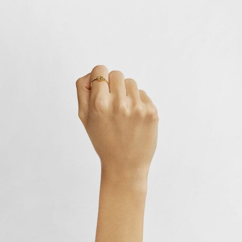 Tous Manifesto Ring Gold | Österreich-FMLCHT316