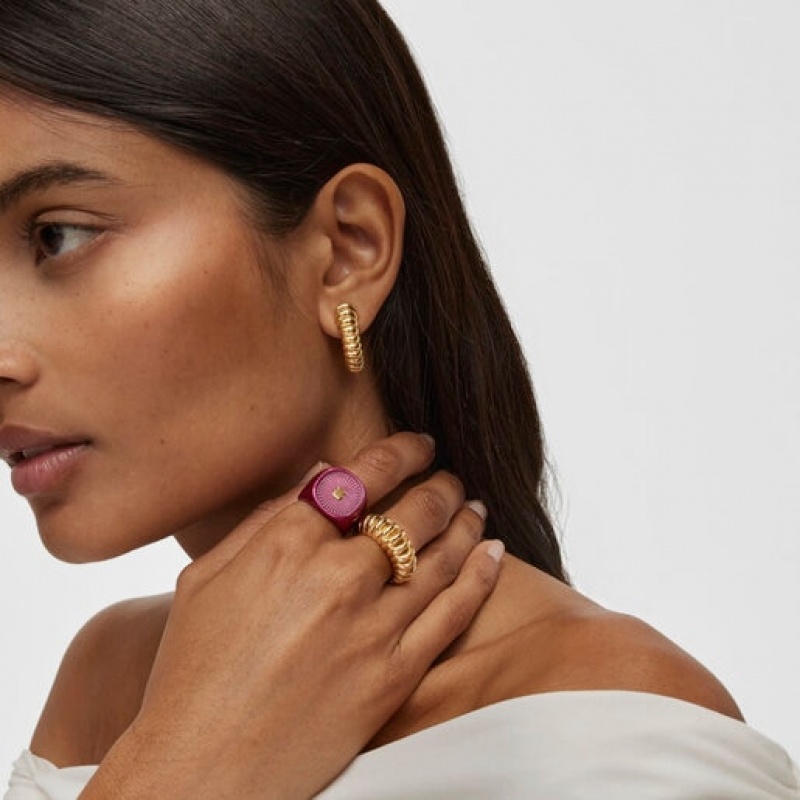 Tous Oursin Seal Ring Fuchsie | Österreich-GVJUYW372