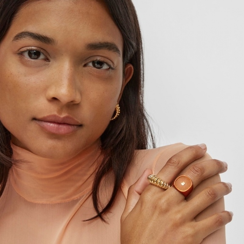 Tous Oursin Seal Ring Silber | Österreich-NTBJRP814
