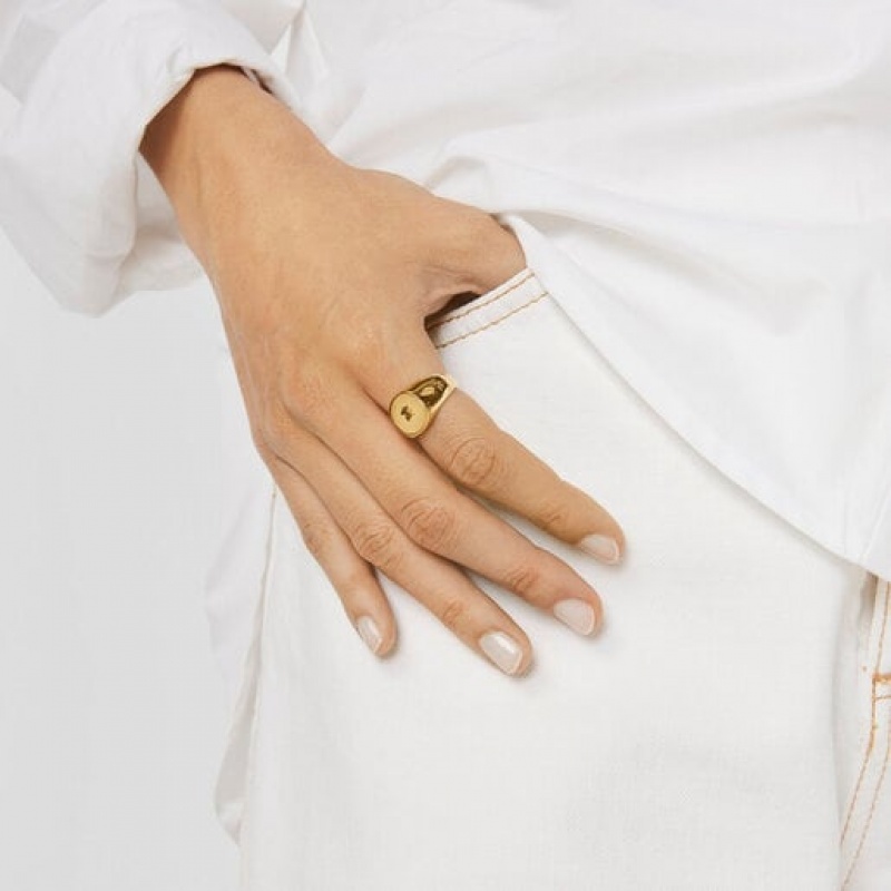 Tous Oursin Signet Ring Gold | Österreich-TXLSJW018