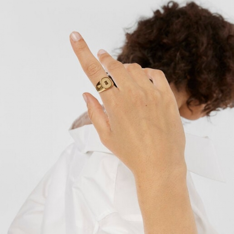 Tous Oursin Signet Ring Gold | Österreich-TXLSJW018