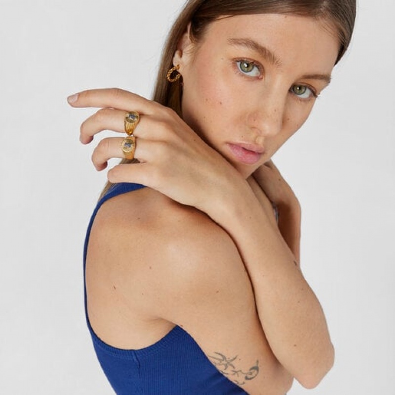 Tous Signet Bear With Iolite Iris Motif Ring Gold | Österreich-AFKYPH386