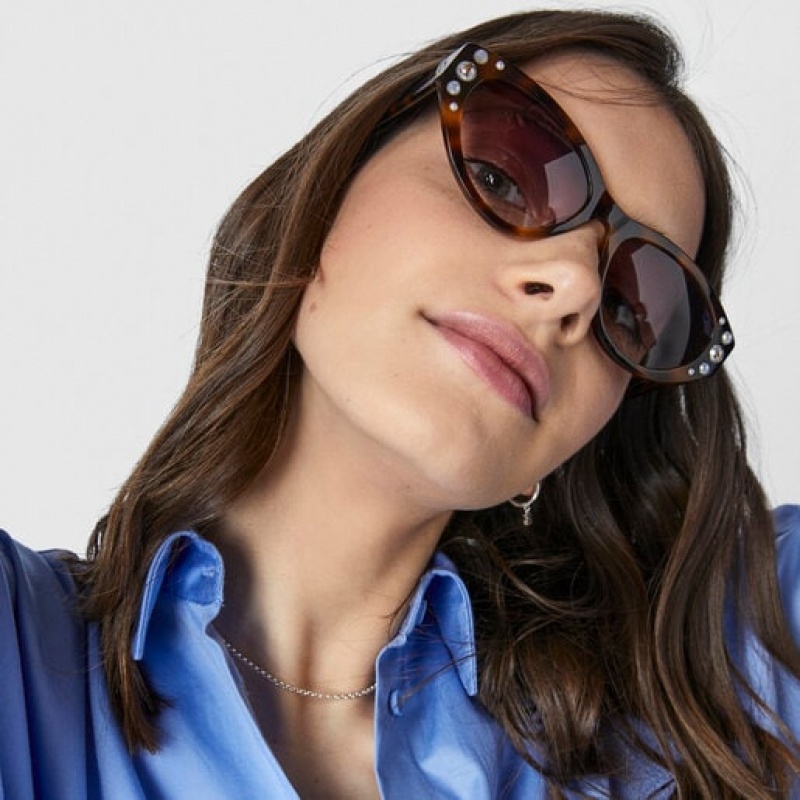 Tous Square Bear Sonnenbrille Braun Schwarz | Österreich-POJRHG912