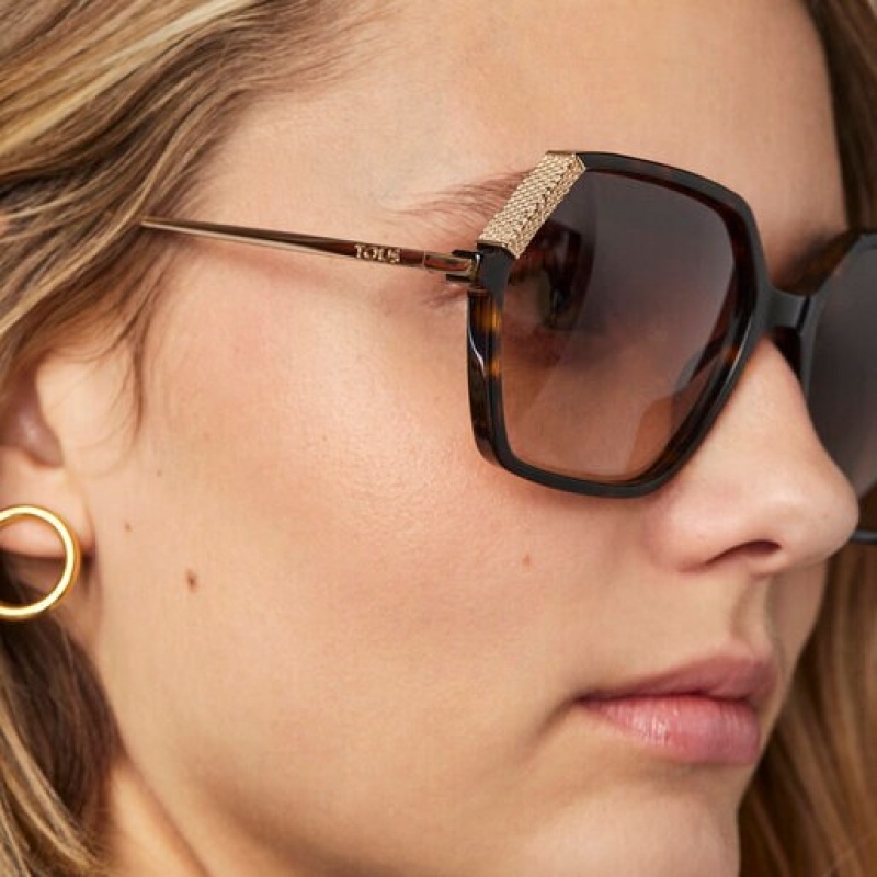Tous Square Bear Sonnenbrille Schwarz | Österreich-HLBYIO685