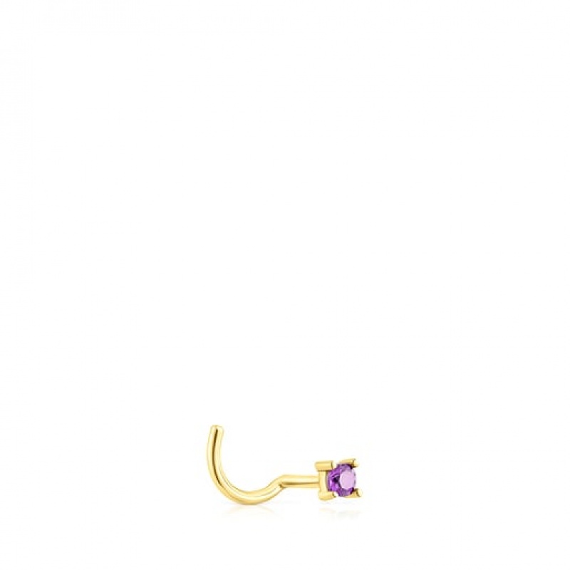 Tous Steel St Tropez Steel Nose With Amethyst Ohrringe Gold | Österreich-XVRKJU254