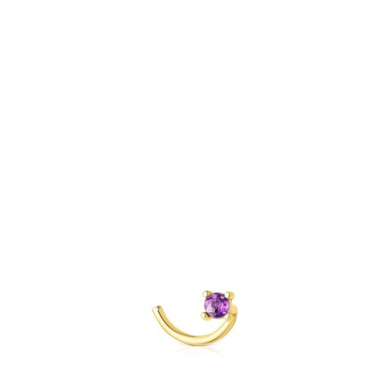 Tous Steel St Tropez Steel Nose With Amethyst Ohrringe Gold | Österreich-XVRKJU254
