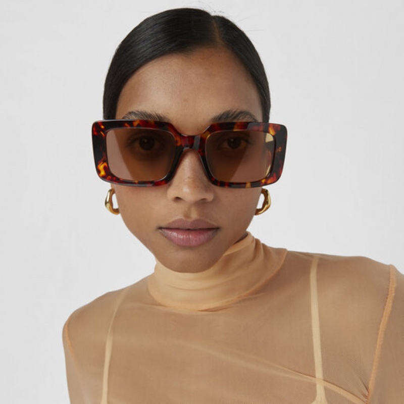 Tous Studs Sonnenbrille Braun | Österreich-LUHFWO296