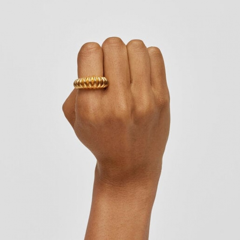 Tous Virtual Garden Ring Gold | Österreich-DSZVOW981