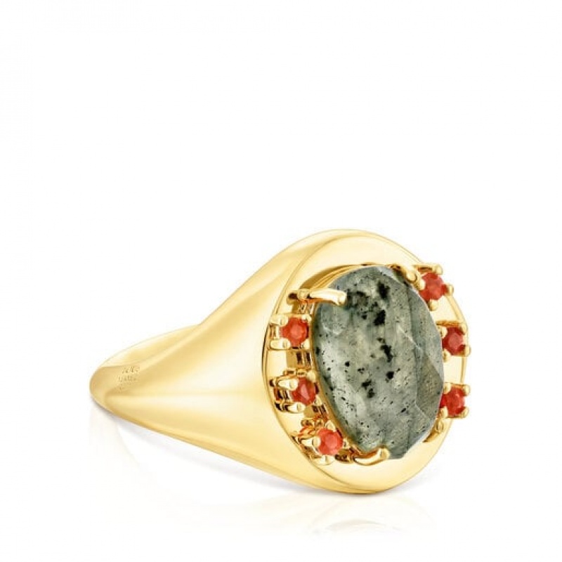 Tous Virtual garden Signet With Labradorite Ring Gold | Österreich-FETAPL260