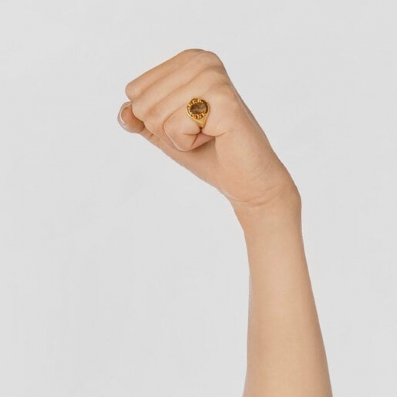 Tous Virtual garden Signet With Labradorite Ring Gold | Österreich-FETAPL260