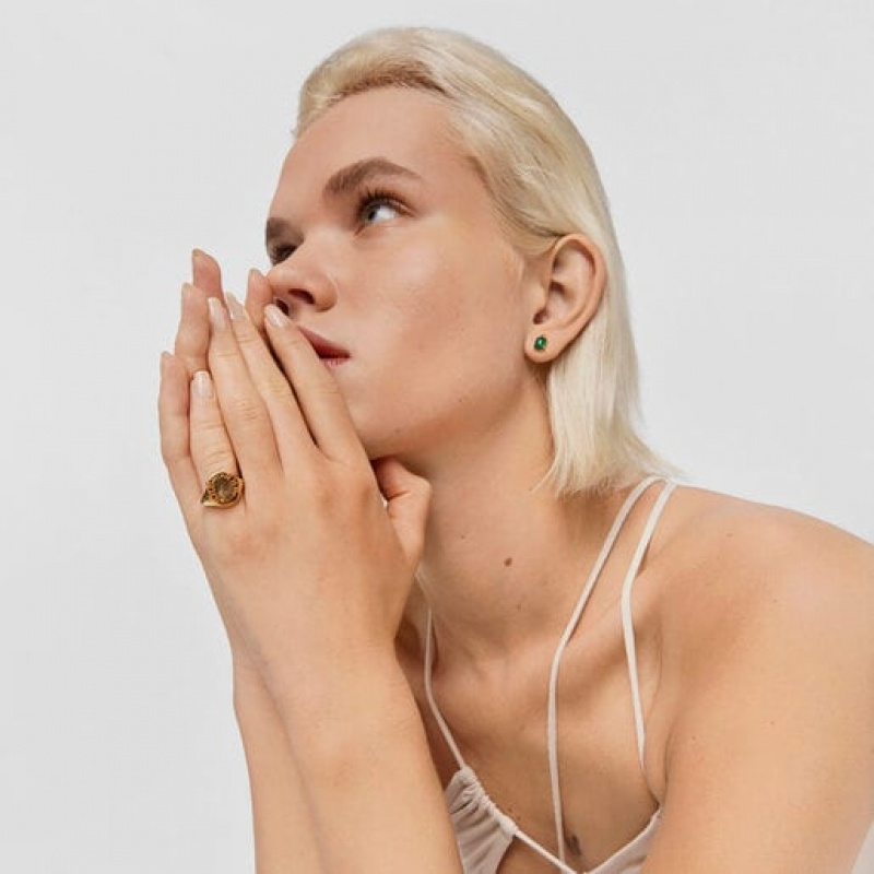 Tous Virtual garden Signet With Labradorite Ring Gold | Österreich-FETAPL260