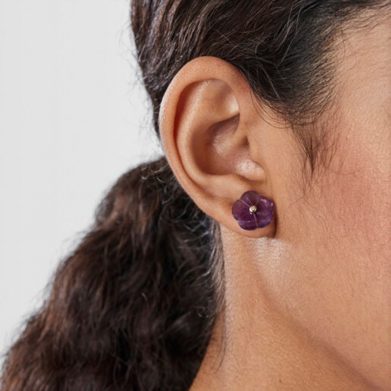 Tous Vita With Amethyst Diamond Ohrringe Lila Gold | Österreich-FOTAIV356