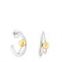 Silber Gold