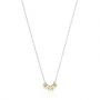 Silber Gold
